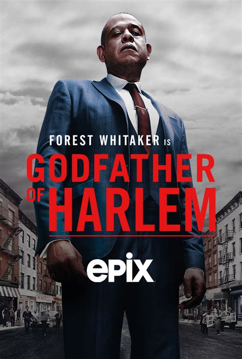myflixer harlem|Godfather of Harlem .